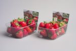 Berries 12902 Plastic Tray Punnet NNZ