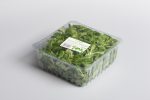 Salad 15002 Plastic Tray Topseal Film NNZ DE